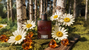 Midnight Birch Cologne - Warm Blend