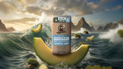 Coastal Mist Invisible Glide Deodorant - Home Glow