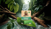 Rainforest Rapids - Home Glow