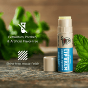 Lip Balm 4-Pack - Ready Routine