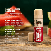 Lip Balm 4-Pack - Essential Set