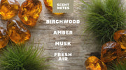 Birchwood Breeze - Body Care