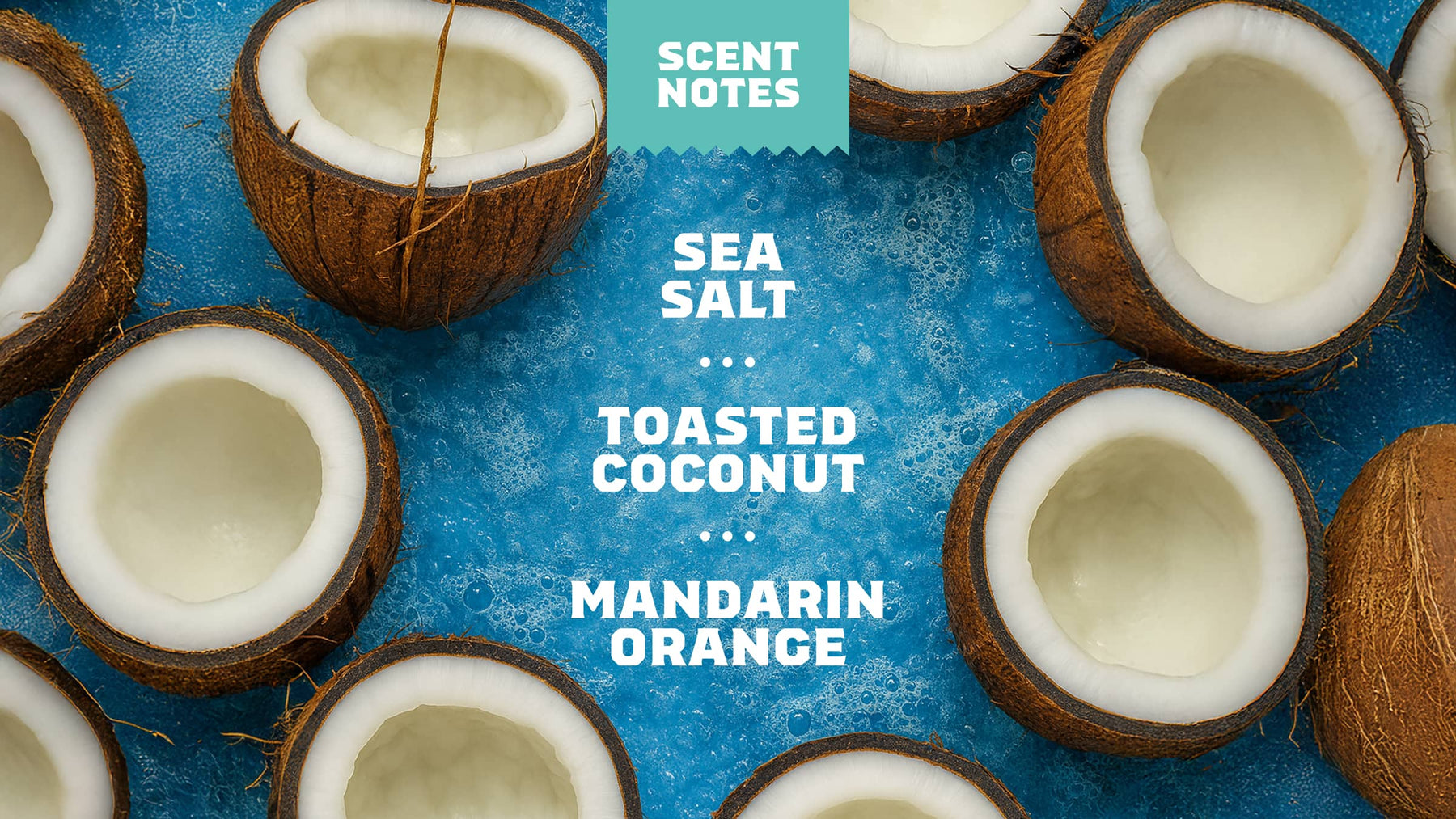 Coconut Castaway Deodorant - Fresh Routine