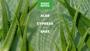 Cool Fresh Aloe - Fresh Start