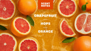 Grapefruit IPA - Soft Layer