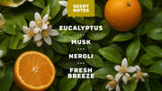 14 oz Mountain Meadow Body Wash - Clean Mood