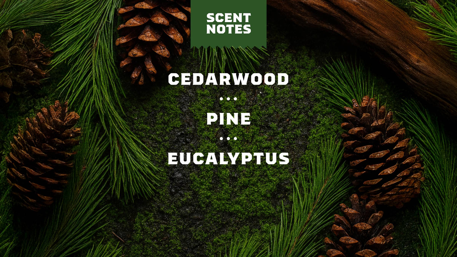 Conditioning Beard Oil & Cologne Woodland Pine - Soft Balance