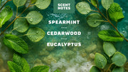Rainforest Rapids Refreshing Face Wash - Easy Spritz