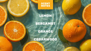 14 oz Summer Citrus Body Wash - Soft Glow