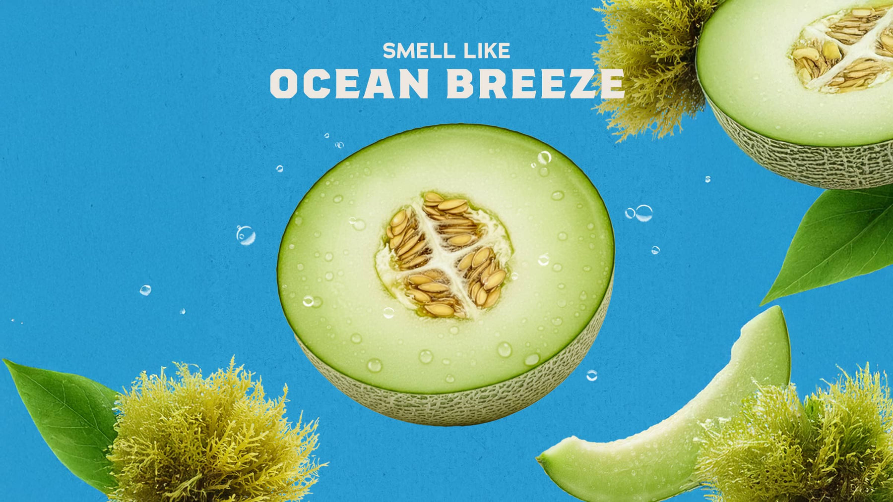Coastal Mist Deodorant - Cozy Glow