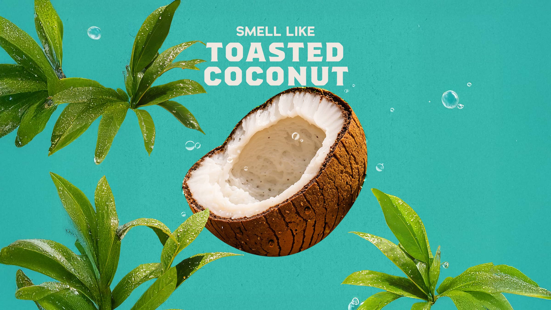 Coconut Castaway Shampoo - Home Glow