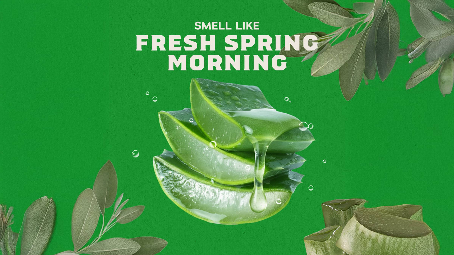 Cool Fresh Aloe - Fresh Start