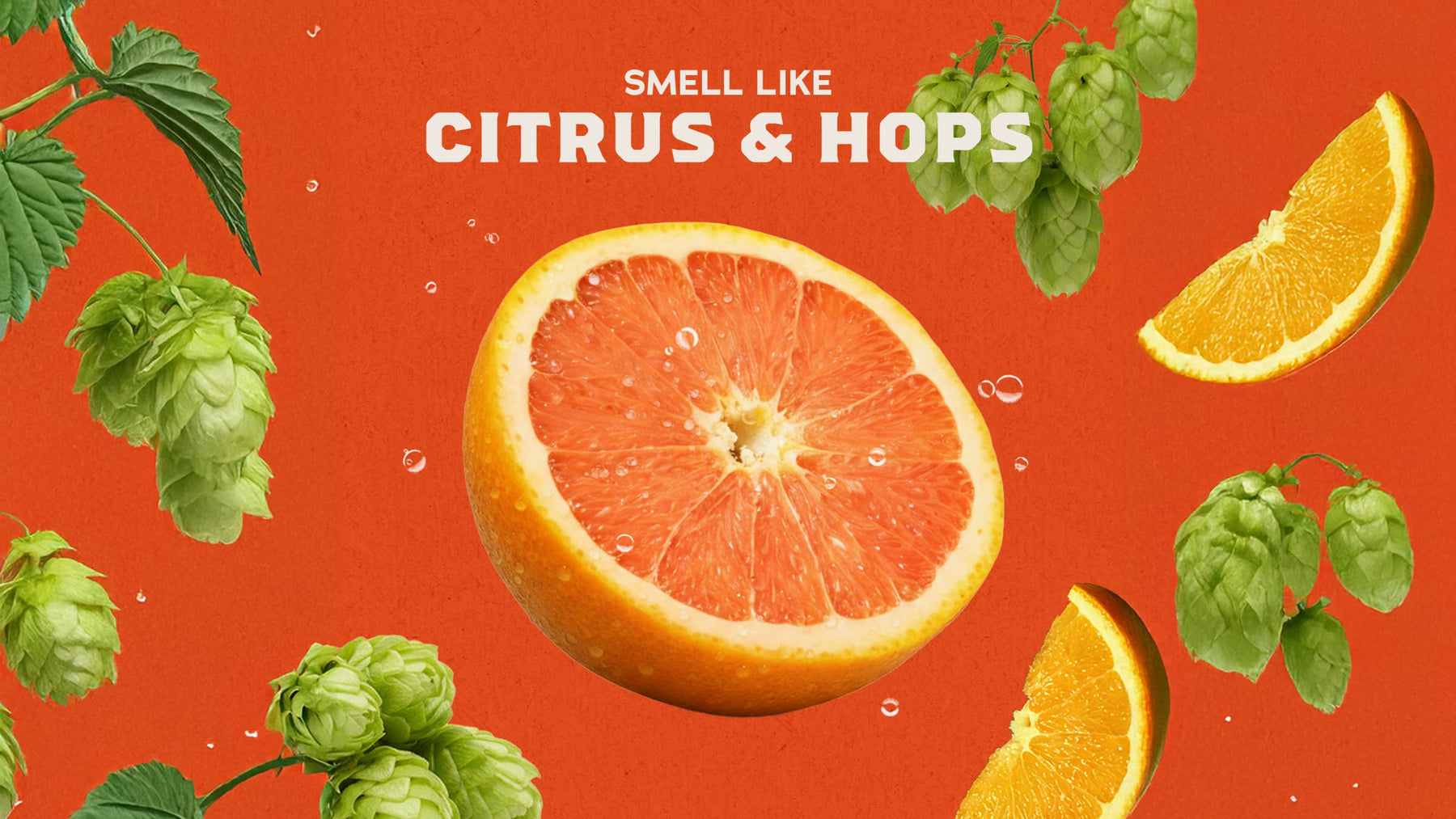 Grapefruit IPA - Soft Layer
