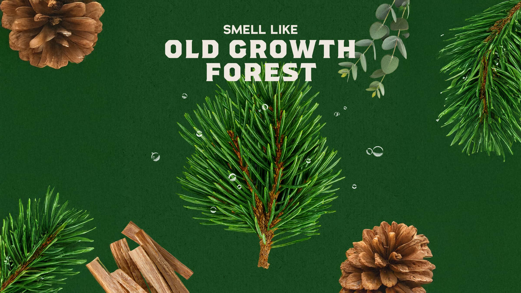 Pine Tar Conditioner - Clean Mood