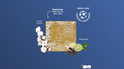 FIFA Golden Glory 3-Pack Bar Soap Bundle - Ready Routine